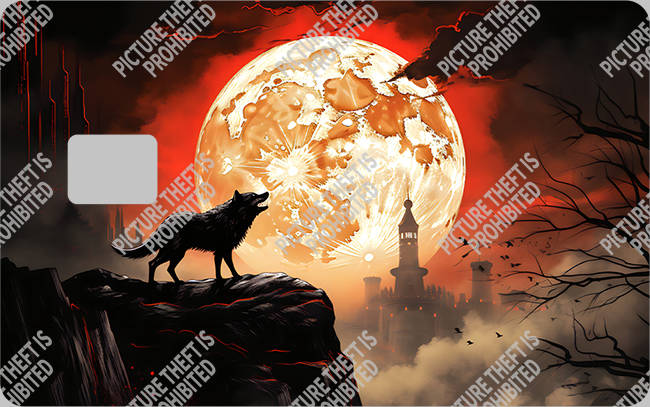 Bank  Card Sticker-BC-1742